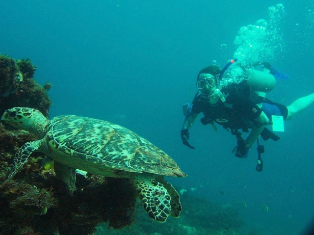  Spedizione subacquea in mare 